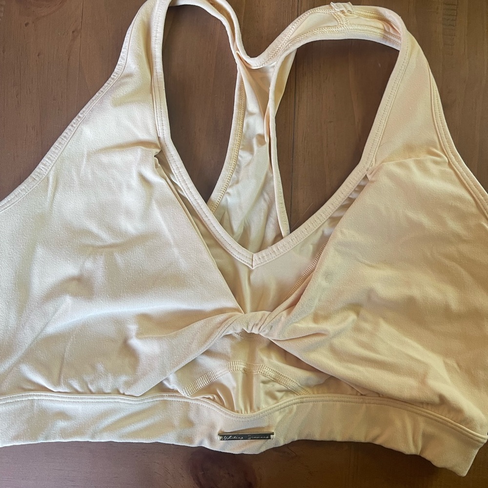 Whitney Simmons sports bra